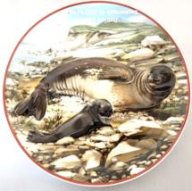 Seal Robbe Collector Plate World Wildlife Fund Heinrich Germany Villeroy &amp; Boch - £14.94 GBP