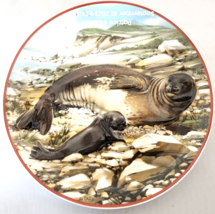Seal Robbe Collector Plate World Wildlife Fund Heinrich Germany Villeroy... - $18.70