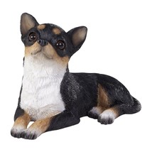 Chihuahua TRI small size - $100.49