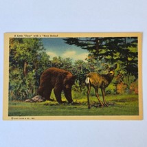 Postcard A Little Dear with a Bare Behind Humor Linen Unused - $7.87