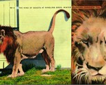 Vtg Linen Postcard Sarasota Florida FL Ringling Brothers Lion King of Be... - $3.91