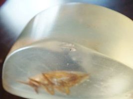 Item image 14