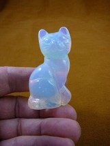 (Y-CAT-SIC-753) White Albino KITTY CAT gemstone gem carving figurine I l... - £13.69 GBP