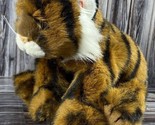 1997 Ty Beanie Buddy - Bengal the Tiger - 13&quot; Long - Smoke Free - $9.74