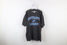 Vintage NFL Mens 2XL XXL Faded Spell Out Detroit Lions Football T-Shirt Gray - $49.45