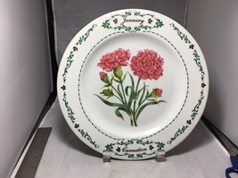 Carnation Flowers of January month plate #1418 made for Domestications i... - $5.89
