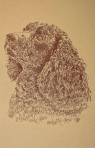American Water Spaniel Dog Art Word Drawing 40  Kline Draws Dogs Name Fr... - $49.95