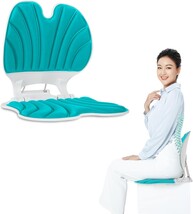 MIETA Ergonomic Chair Back Support,Lumbar Support for Good Posture Corre... - €28,56 EUR