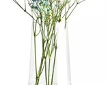 The Krosno Flower Vase Measures 9.5 By 3.9 Inches And Is Part Of The Pure - £35.35 GBP