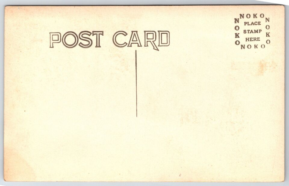 RPPC Yuba Pass Highway Sierras California CA UNP Unused PNC DB Postcard E14 Item image 2