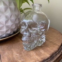 Crystal Head Vodka Glass Skull Empty Bottle 750ML Halloween No Cork - $18.99