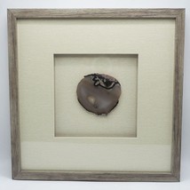 Framed Brown Agate Geode Quartz Rockhound Cabin Decor - $89.09