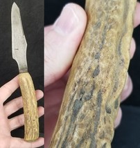 Antique early 1900&#39;s knife staghorn antler fixed OLD &amp; BEAUTIFUL! - $39.99