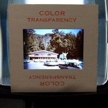 1962 Trees Of Mystery Klamath CA Babe the Blue Ox Redwoods Found Slide O... - £23.88 GBP