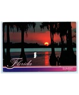 Sunset Cypress Trees Spanish Moss Night Landscape FL Postcard - €6,01 EUR