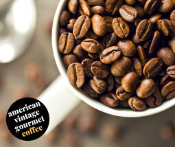 Chocolate Peanut Butter 10oz Dessert Coffee - $13.66