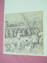 1889 Africa Illustrated Page Water Buffalo Stampede - $7.99