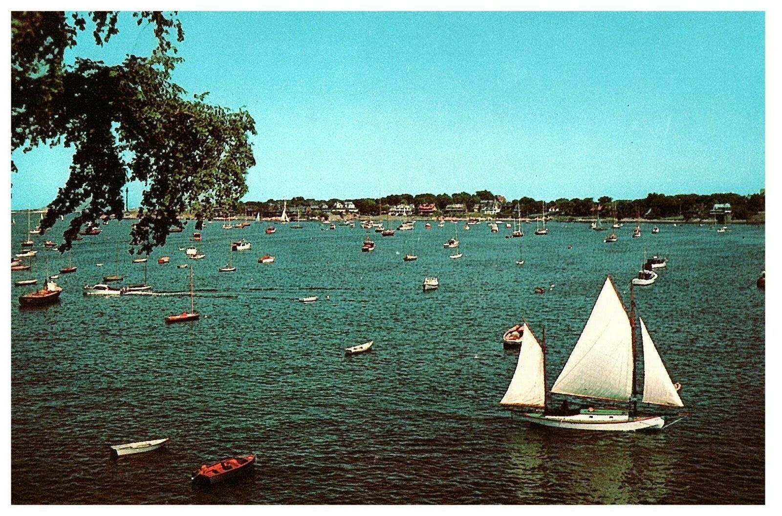 Marblehead Harbor from Crocker Park Massachusetts Postcard - $4.42