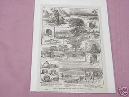 1889 Africa Illustrated Page Page Ward&#39;s Sketches - $7.99