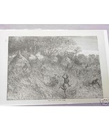1889 Africa Illustrated Page The Fight in the Grass - £6.29 GBP