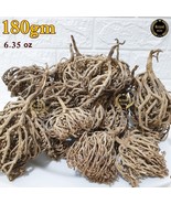 180g Flower Of Maryam 6.35oz Chaste Tree Herbs Palm Of Mary عشبة كف... - $407.94 MXN 180g Flower Of Maryam 6.35oz Chaste Tree Herbs Palm Of Mary عشبة كف... - $407.94 MXN