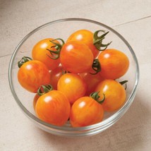 20 Organic Sunrise Bumblebee Tomato Seeds Yummy Juicy Fresh Seeds USA - $17.00