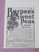 1915 Ad Burpee&#39;s Sweet Peas, W. Atlee Burpee &amp; Co, Phil - £6.24 GBP