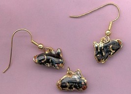 Cloisonne Bunny Rabbit Earrings With Shepherd Hooks & Pendant - $8.00