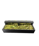 Moss Filled Fingerboard Skateboard Flat Grind Rail Obstacle - $15.00+