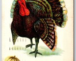 Giant Turkey Hearty Thanksgiving Greeting Embossed 1915 DB Postcard K3 - $3.91