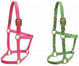 Western or English Saddle Horse Heavy Nylon Halter Head Collar Pink Lime... - £6.99 GBP