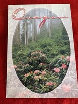 Oregon Postcard Wild Rhododendron in Oregon Forest NEW Unposted - $3.99