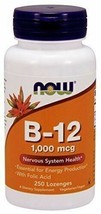 NEW Now B-12 1000mcg Nervous System Health With Folic Acid 250 Lozenges - $19.74