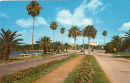 Memorial Causeway Unposted Vintage Postcard Clearwater Florida - £6.18 GBP