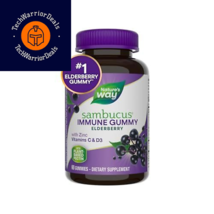 Nature’s Way Sambucus Elderberry Immune Gummies, 60 Count (Pack of 1), Purple  - £22.17 GBP