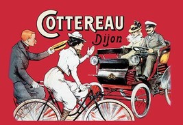 Cottereau Dijon 20 x 30 Poster - £20.46 GBP