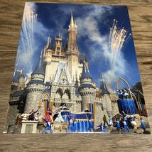 Walt Disney World Cinderella Castle with Fireworks 8X10 Photograph KG JD - $10.89