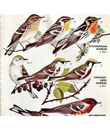 Warbler Varieties And Types 1966 Color Bird Art Print Nature #7 ADBN1o - €17,22 EUR
