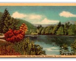 View of Loyadock Trout Stream Williamsport Pennsylvania PA WB Postcard N24 - $2.92