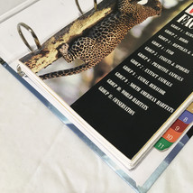 Item image 13
