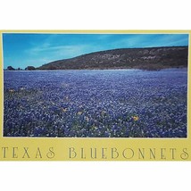 Bluebonnets Flowers Texas Field State Flower Postcard - $5.95