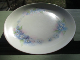 Hutschenreuther Selb Hand Painted Plate White Daisy with Blue Pink Green Accents - £13.36 GBP
