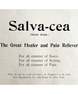 Salvacea Pain Reliever Medicine 1894 Advertisement Victorian Medical DWKK16 - £15.62 GBP
