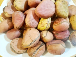 Red Organic Kolanut Oji Eze Traditional Gworo Kola Nut - £12.52 GBP