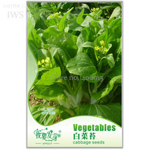 Chinese Cabbage Vegetable Seeds Pack 50 Seeds Green Organic Vegetables Iwsc106 F - $9.75