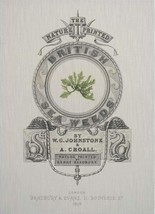 Wall Art Print British Seaweed Inspired by an Antique Book Published in 1859 - £486.80 GBP