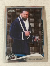 Damien Sandow WWE Topps Chrome Wrestling Trading Card 2014 #64 - $1.98