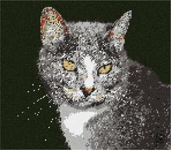 Pepita Needlepoint kit: Cat with Whiskers, 11&quot; x 10&quot; - £67.67 GBP+