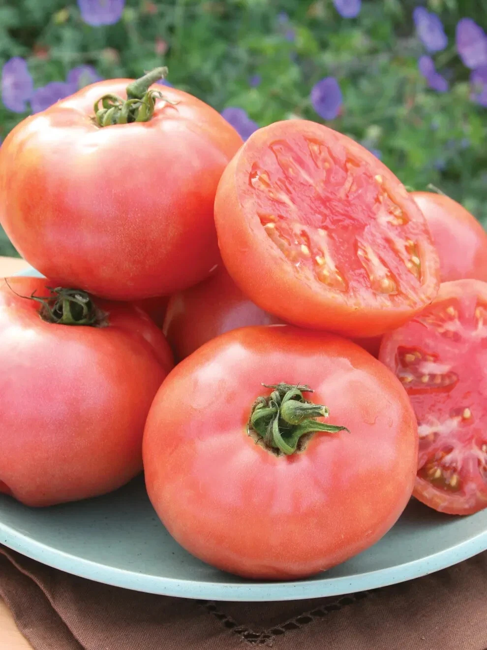 50 Seeds Pink Pounder Tomato Tomatoe Vegetable Garden Edible Canning - $9.63