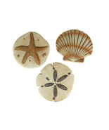 Set of 3 Cement Sea Shell Wall Hanging Sand Dollar Starfish Scallop Scul... - £42.88 GBP